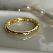 Precious in His Sight, Purity Ring