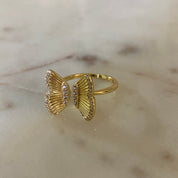 New Creation in Christ, Purity Ring