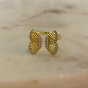 New Creation in Christ, Purity Ring